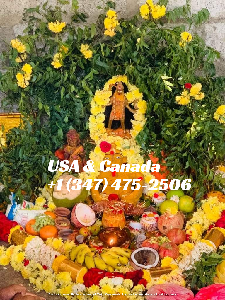 Om Saturn Astrology Center - 6